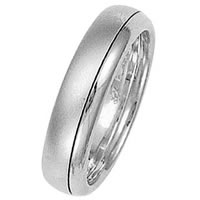 Item # 211311W - 14 Kt White Gold Wedding Band